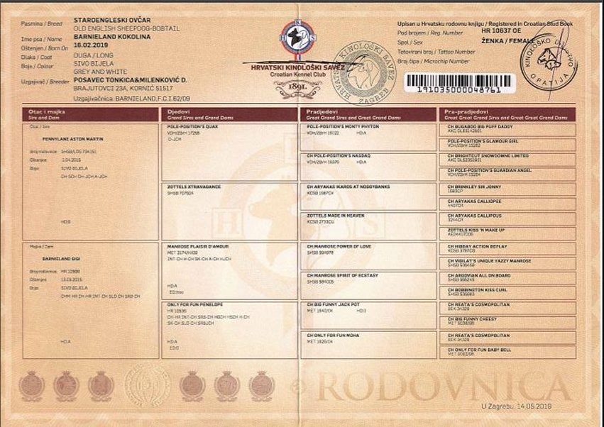 certificats dogs